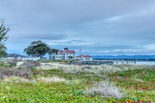 Eureka Apartments image 10