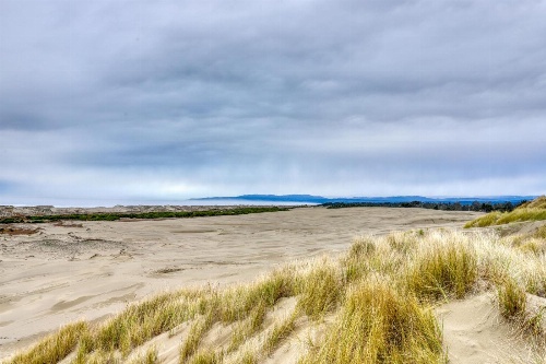 Eureka Apartments image 2