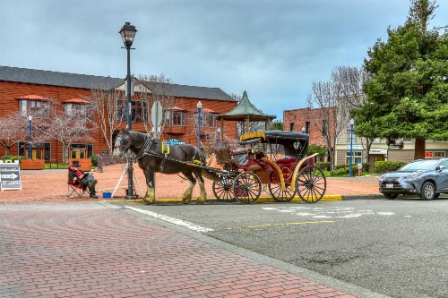 Eureka Apartments image 3